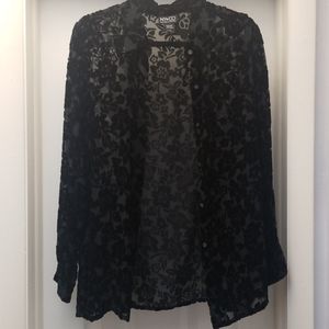 NWOT Sheer, Velvet & Silk Blouse